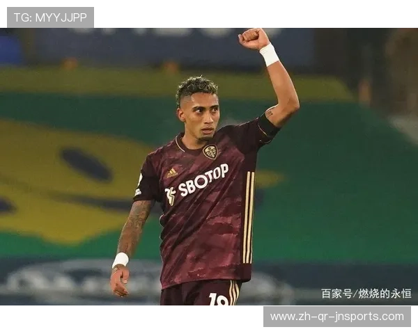 英超球员薪水排名及收入差距分析